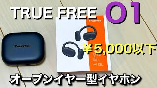 【TRUEFREE O1】インナーイヤー型でそこそこ音質良くて¥5,000以下で変えるイヤホンです