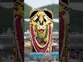 lord venkateswara swami devotional songs