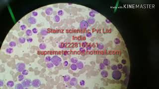 Stainz plus automatic Hematology slide stainer