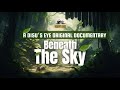 Beneath The Sky | A Nature Documentary | Disu's Eye