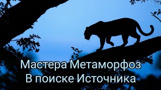 Искусство Метаморфоз и Вселенский Источник Жизни🐋⭐❤️‍🔥🌊⚡📜🐚🔮