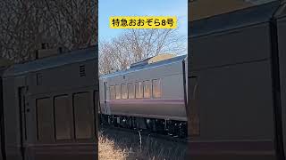 特急おおぞら8号　カーブを駆け抜ける　#鉄道 #hokkaidou #shortvideo #jr北海道 #根室本線 #列車 #shorts #特急 #キハ261系 #short #特急おおぞら