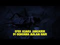 Efek Suara Jangkrik Di Suasana Malam Hari