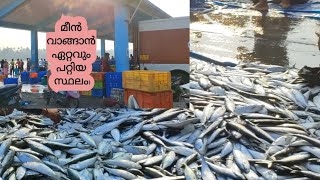 Perumathura Fishing Harbour , traditional fishing.#fishing #food #harbour