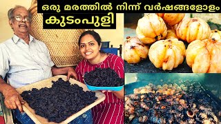 ഒരു മരത്തിൽ നിന്ന് വർഷങ്ങളോളം കുടംപുളി | Preserving kudampuli