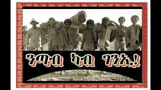 ንጣብ ካብ ገንኢ! #Alenamediatv #Eritreanews #Asmara