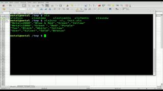 Excel to CSV with xls2csv - BASH - Linux