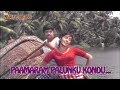 Paamaram Palunku Kondu ...(HD) - Thriveni Malayalam Movie Song | Prem Nazeer | Saradha | Sathyan