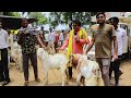 भारत का सबसे सस्ता बकरी बाजार। बकरी‌ 3500 में।sabse sasta bakri bazaar।cheapest goat market