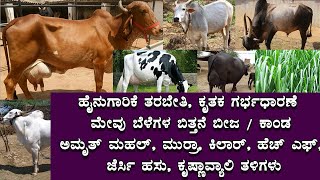 ಹೈನುಗಾರಿಕೆ ತರಬೇತಿ । ಮೇವಿನ ಬೀಜಗಳು  । ಕೃತಕ ಗರ್ಭಧಾರಣೆ । ಅಮೃತ್ ಮಹಲ್, ಗಿರ್ , ಕಿಲಾರ್ ,ಮುರ್ರಾ @NegilaYogi