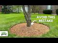 Tree Edging and Mulching Mastery | Tips for Picture-Perfect Circles