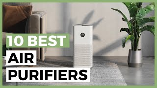 Best Air Purifiers in 2024 - What are the Best Air Purifiers?