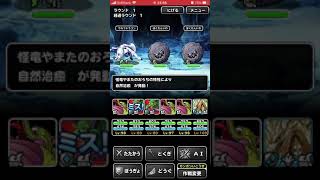 【DQMSL】竜の秘境 修練場