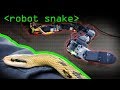 Robot Snake - Computerphile