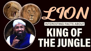 Interesting Facts About Lions | Soban Attari Informative Video 2021 | Lions-King of The Jungle