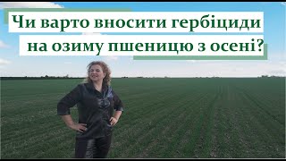 Чи варто вносити гербіциди на озиму пшеницю з осені? #ГалинаДзябяк