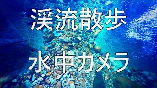 【観察 ③】 滝壺 水中カメラ イワナ 岩魚 源流 Char 渓流 Underwater camera Fish  渓流散歩