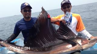 Royal Pahang Billfish International Challenge 2014 - Fishyology.com Team