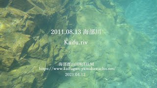 2011.08.13 海部川で川遊び ( long ver )　Playing in the Kaifu River