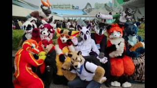 2017 Petit Fancy 26 Furry Memories