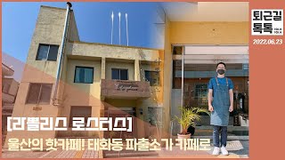 기부앤테이크 소상공인/ 라뽈리스 로스터스/2022.06.23