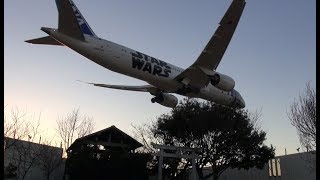 ✈✈東峰神社 大迫力 怒濤の24連発！成田空港で一番近くで飛行機が撮れる 東峰神社連続アプローチ 成田空港 東峰神社 航空安全のお参りしてから撮影しました。