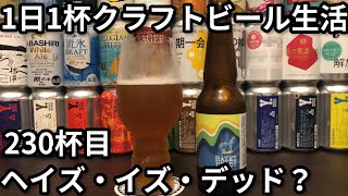 【1日1杯クラフトビール生活】230杯目Tokyo Aleworks ヘイズ・イズ・デッド？