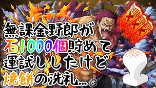 【トレクル】2.5倍は幻想 2019正月フェス【スゴフェス】