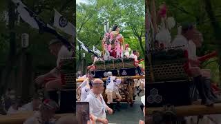 Thousands of Japanese men with butts out in stunning festival in Fukuoka | Hakata Gion Yamakasa 🇯🇵