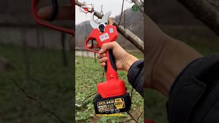 Electric Battery powered Pruning Tool