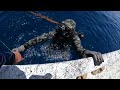 Spearfishing & Fishing Submerged OIL RIGS & Shrimp Boats Gulf of Mexico! Cobia, Mahi, & Snapper!