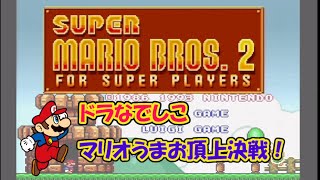 Super Mario Bros.2 RTA() 並走