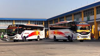 DERETAN BUS BAGONG KEBERANGKATAN PAGI DARI TERMINAL BUNGURASIH