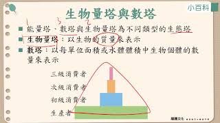 108選生四 2-4生態系_2能量的流轉