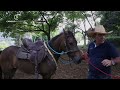 Yegua con Mal Caracter - 🐴☠️ Dulce - Episodio 1 - Pablo Saldarriaga Doma Racional Colombia