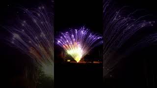 130 Shots Spring Ballet Fireworks Fan Cake #fireworks2023 #fireworkscake