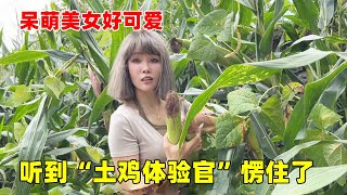 大超假扮“土鸡体验馆”下农村，美女被骗的一愣一愣的，还有这职业？【大超走四方】