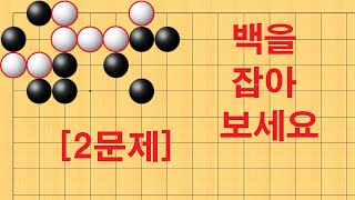 바둑 묘수 사활 - 바둑판을 뒤집어 놓은 묘수가 나옵니다. 백을 잡아보세요