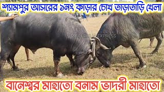 শ্যামপুর আসরের ১নং কাড়ার চোখ তাড়াতাড়ি খেলা বানেশ্বর মাহাতো বনাম ভাদরী মাহাতো