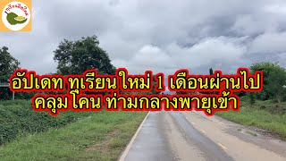 ทุเรียนมือใหม่…ในหน้าฝน คลุมโคนอย่างไร ดีหรือไม่?