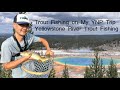 Trout Fishing on My Yellowstone National Park Trip ▎Yellowstone River Trout Fishing