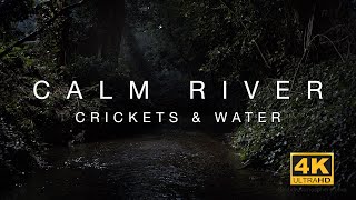 4K Calm River - 3 Hours of water flowing \u0026 crickets chirping - relaxing sleep sounds \u0026 ambience