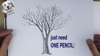 Drawing Course #1 How to Draw a Tree with Just ONE Pencil