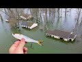 Fishing for 13lb BASS In FLOODED Neighborhood! (Kayak Fishing)