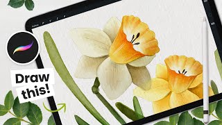 How To Draw Daffodils + Mothers Day Card • Procreate Tutorial