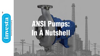 ANSI Pumps - In A Nutshell