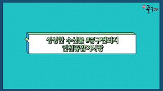 '인천종합어시장' 싱싱한 수산물 #중구면되지