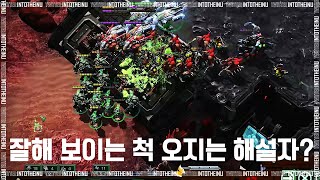 Starcraft 2 : 스타2 잘해보이는 척 오지는 해설자? 참고로 브론즈임 (feat.욕도 겸허히 받아드리겠습니다) - 스타2 욕받이