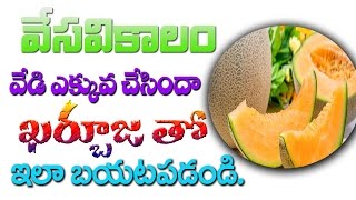 Summer Heat | Benfits Of Kharbuja వేసవిలో  వేడి చేస్తే ఇలా చేయండి | Health Tips | Mana Telugu Badi