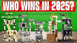 TOP 5 Best Cat Trees 2025